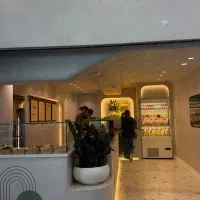 کانتر/سالادزن/کارگر ساده و آماده ساز