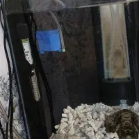 آکواریوم اکواریوم ۳بعدی شیک|ماهی|مشهد, سرافرازان|دیوار