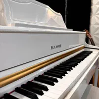 فروش پیانو پلانوت|پیانو، کیبورد، آکاردئون|اصفهان, طاحونه|دیوار