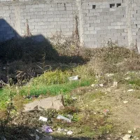 زمین در آسایش ۱۷