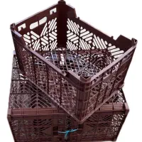 سبد 10 کیلویی انواع میوه|فروشگاه و مغازه|سمیرم, |دیوار