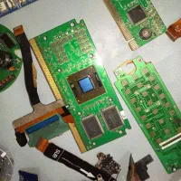 بردگوشی و برد سبز