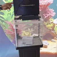 آکواریوم شرکتی