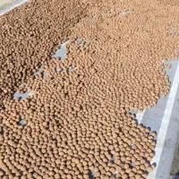 گردو کاغذی وتازه شماره تماس|خوردنی و آشامیدنی|سردشت, |دیوار