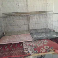 قفس .پرون جوجه.