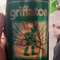 کاهو پیچ زودرس|عمدهفروشی|خان ببین, |دیوار