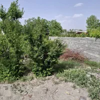 فروش باغچه ۸۶۰ متری|فروش دفتر صنعتی، کشاورزی، تجاری|باغستان, |دیوار