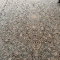 قالی|فرش|جوانرود, |دیوار