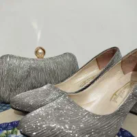 کیف و کفش ست مجلسی