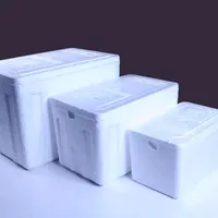 یخدان سایز بندی جهت دارویی، خوراکی، کترینگ، مسافرت|ظروف نگهدارنده، پلاستیکی، یک‌بارمصرف|تهران, نیروی هوایی (پیروزی)|دیوار