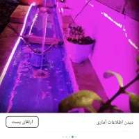 (سفره خانه خان ولی )میزبان تولد و دور همی هاو..|خدمات پذیرایی، مراسم|اصفهان, ارداجی|دیوار