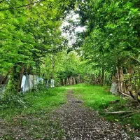 خریدار زمین کشاورزی یا باغی