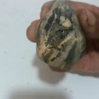 سنگ|کلکسیون اشیاء عتیقه|گلبهار, نوبهار|دیوار