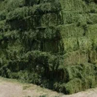 فروش یونجه ‌قالب