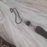 پرده