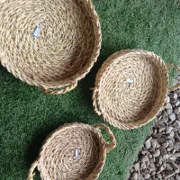 نیرو کار آقا نیازمندیم حرفه ای تابلو بار میوه