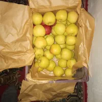 فروش سیب|عمدهفروشی|هشترود, |دیوار