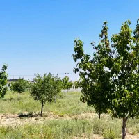 ۶۵۰متر باغ با سهمیه آب در شهرک ویلایی قیمت منصفانه|فروش زمین و ملک کلنگی|مشهد, درزآب|دیوار