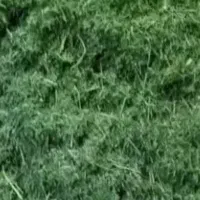 یونجه|لوازم جانبی حیوانات|جونقان, |دیوار