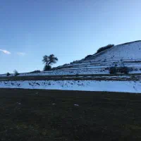 فروش زمین کشاورزی املش