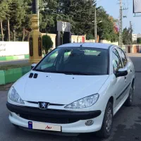 ۲۰۶ اس دی بی رنگ و کم کارکرد