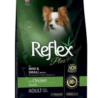 گربه پرشین توی پودل ژرمن|گربه|تبریز, |دیوار