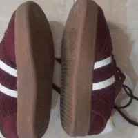 کتونی نو ونپوشیده|کیف، کفش، کمربند|اراک, |دیوار