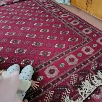 فرش دستباف ترکمن|فرش|سیمین شهر, |دیوار