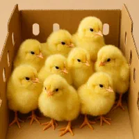 استخدام بازاریاب و کارشناس فروش