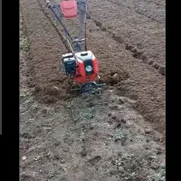 شخم و کندن  زمین و باغ با تیلر کولتیواتور