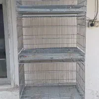 قفس ۳ خان طوطی مرغ عشق