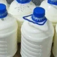 فروش دوغ محلی