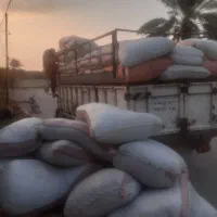 یونجه شلیف شده|عمده‌فروشی|فراشبند, |دیوار