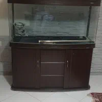 آکواریوم شیشه خم