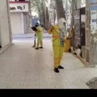 پاکبان شهرداری منطقه ۲