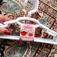 چوب لباسی و رگال