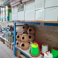 پرنده ...|پرنده|قم, نیروگاه|دیوار