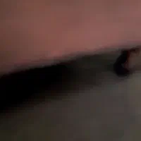 گاری چهار چرخ|ابزارآلات|بهارستان, |دیوار