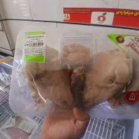 عرضه کله پاچه، سیرابی ، دل جگر و قلوه گوسفندی|خوردنی و آشامیدنی|قروه, |دیوار