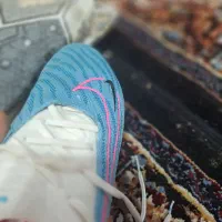 کفش فوتبال|کیف، کفش، کمربند|گتوند, |دیوار