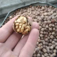 رب گوجه دیای ۶۰۰ کشمش پلویی علا ۴۰۰|خوردنی و آشامیدنی|یزد, |دیوار