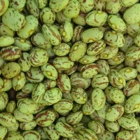 لوبیا چیتی|خوردنی و آشامیدنی|سلطانیه, |دیوار