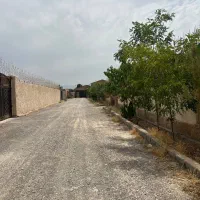 باغچه دوردیوار ۳۰۰ متری/مناسب ساخت /شاهنامه۸۰|فروش خانه و ویلا|مشهد, توس فردوسی|دیوار