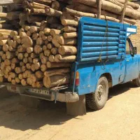 خریدهمه مدل چوب درخت وریشه سیب هیزم|خدمات باغبانی و درختکاری|شاهین دژ, |دیوار