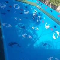 عایق ورنگ امیزی استخر