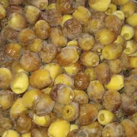 خرما حلیله ای درجه یک دست چین