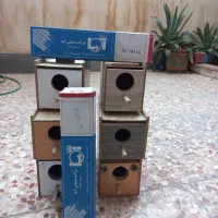 لانه فنچ وطوطی برزیلی والکترود  ۳