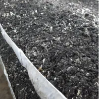 کمپوست مصرف شده قارچ