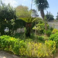 فروش ویلا ۵۵۰ متری /۴ اتاق خواب / بلوار معلم