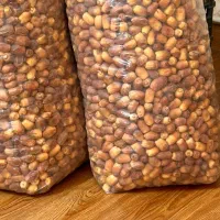 خرمای زاهدی درجه یک بهبهان|خوردنی و آشامیدنی|تهران, سازمان برنامه شمالی|دیوار